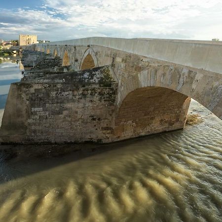 Casa Luz Cordoba Daire Dış mekan fotoğraf