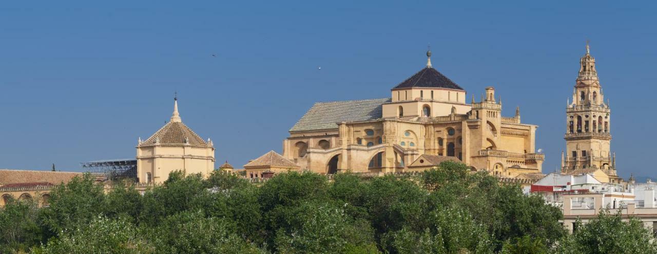Casa Luz Cordoba Daire Dış mekan fotoğraf