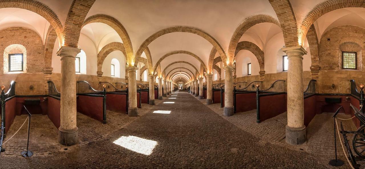 Casa Luz Cordoba Daire Dış mekan fotoğraf