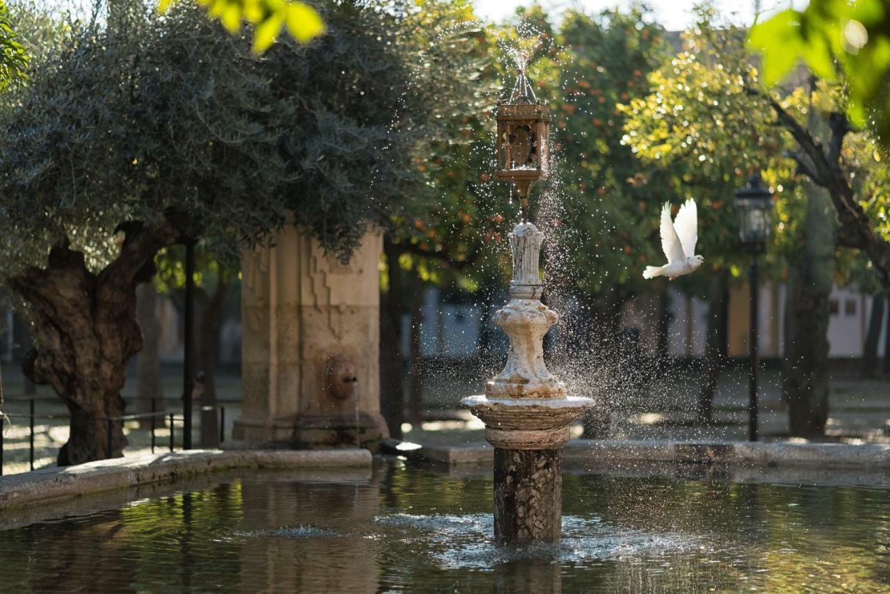 Casa Luz Cordoba Daire Dış mekan fotoğraf